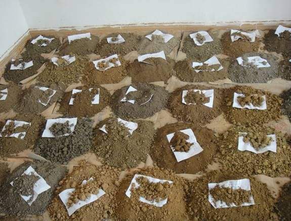  济南土壤采样厂家带您了解土壤样品的采集与制备的原理